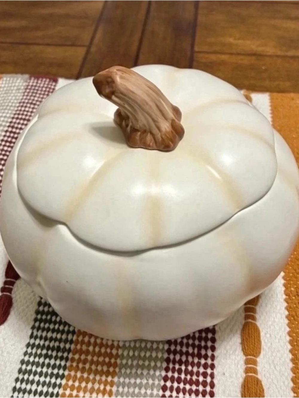 Cream Ceramic Pumpkin Covered Serving Bowl Flower Pot Vase Storage Fall Decor